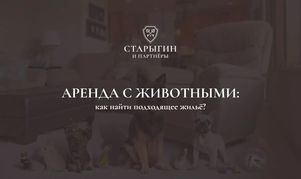 Аренда с животными: как найти подходящее жильё
