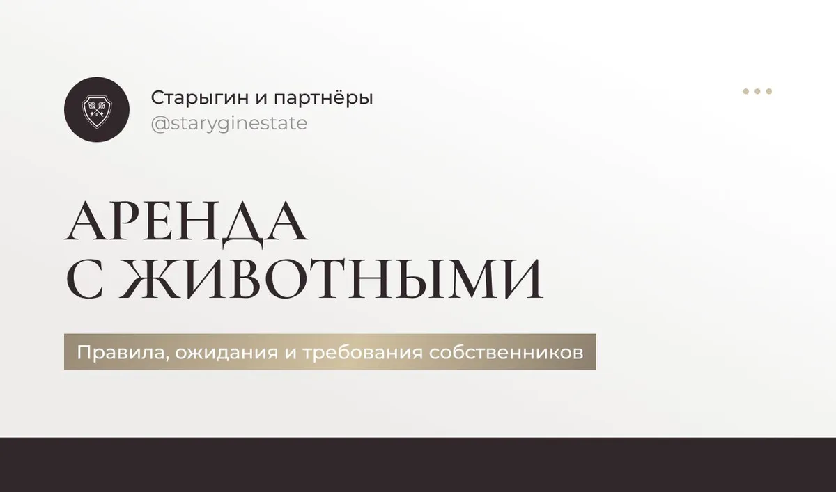 Аренда с животными: правила, ожидания и требования собственников